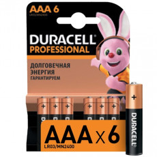 Батарея Duracell Professional AAA LR03/MN2400 6шт.