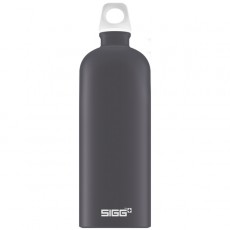 Бутылка для воды Sigg Lucid Shade Touch 1л (8673.50)