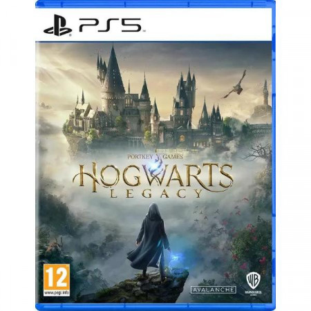 PS5 игра WB Games Hogwarts Legacy