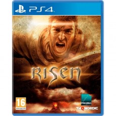 PS4 игра THQ Nordic Risen Стандартное издание