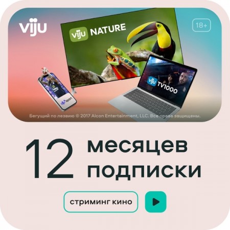 Онлайн-кинотеатр viju 12 месяцев