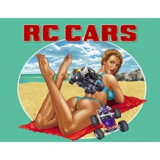 Цифровая версия игры PC 1C Publishing RC Cars