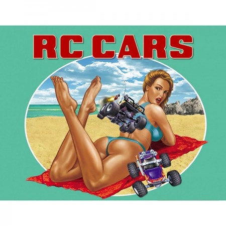 Цифровая версия игры PC 1C Publishing RC Cars