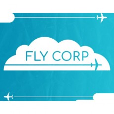 Цифровая версия игры PC KishMish Games Fly Corp