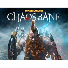 Цифровая версия игры PC Bigben Interactive Warhammer: Chaosbane