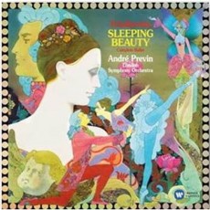 Виниловая пластинка Warner Music Andre Previn:Tchaikovsky: The Sleeping Beauty