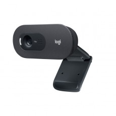 Web-камера Logitech C505 HD (960-001364)